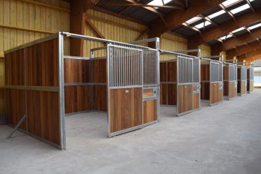 Denya-Boxen mit Fenster für den Pferdekopf